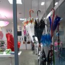 삼성동 나들이 + 데리야끼[코엑스몰]