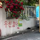 캣츠무인호텔 | 2월 둘째 주: 레몬탕후루 사줘