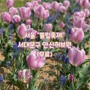 봉원2 공중화장실 | < 따릉이타고 서울 꽃구경~안산허브원 튤립축제 >