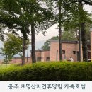 제비꽃 | 충주 계명산휴양림 제비꽃 후기 페이백 할인까지