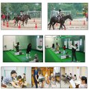 세종초등학교 이미지