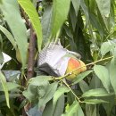 미옥농장 이미지