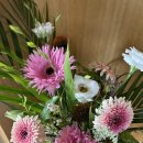 마카로니홈 이미지