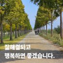 2023년 부동산 정책 및 부동산 사기(전세) 예방하기 | 2026년, 바뀌어야 할 전세사기 특별법 - 피해자는 지금도 기다리고 있다