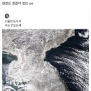 사카바 키마루