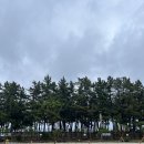 금강산옹심이막국수 이미지