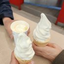 진아중국식품 | [2025.05] 오월의 붉은장미