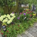 자연과 함께하는 하룻밤 이미지