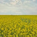 더포그레이스호텔앤리조트 | 제주 서귀포시 숙소 TOP5 — 실제 후기 기반 추천