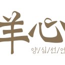 양심(羊心) 뉴스1