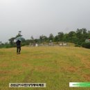 성사영 묘 이미지