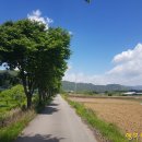 종부2리 마을회관 이미지