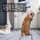 공덕인과한의원 네이버블로그