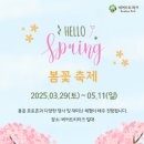 매화국제여행사 이미지