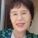 초록창문