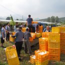 남대구세무서 이미지