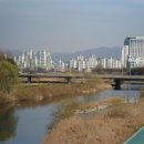 황새울교 앞 이미지