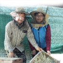 유밀농장 이미지