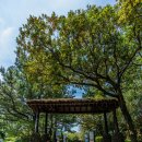 씨에스 호텔 앤 리조트 이미지