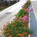 마을회관옆 이미지