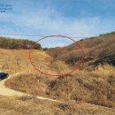 부여(외산)-13 이미지