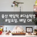 다솜떡방 | 울산 백일떡 다솜떡방 일요일 하고, 배달 되는 맛있는 떡집
