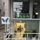 신사동 미용실 네이버블로그