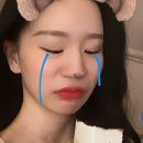 프로핏97 이미지
