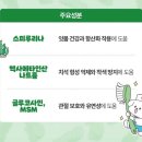 삼 덴탈 | 노령견간식 추천 | 핫펫 뽀득츄 부드러운간식 강아지져키 강아지덴탈껌