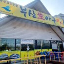 부산아구 | 부모님과 다녀온 밀양 생아구불고기맛집 부산생아구 내돈내산 후기