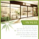 포레스타스프링