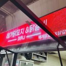 중앙파크 | [25.05.02 일상] 수원 kt위즈파크 야구장 중앙관람석 317구역 관람 먹거리 후기