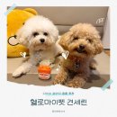 헬로펫 | 다이소제품 추천 강아지 발바닥 보습제 헬로마이펫 견세린 후기