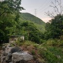 삼박골농장 이미지