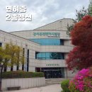 시민자동차써비스 | 2026 서울 강서 운전면허시험장 운전면허증 2종갱신 7년무사고 서류 후기