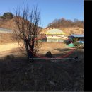 미천면-13 네이버블로그