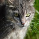 리듬 N 점프 이미지