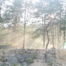 도원패밀리캠핑장 네이버블로그