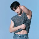 디노 이미지
