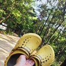 수리산 산림욕장 이미지