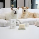 이레네 강아지 | [진돗개 이레 x 배사봉] 강아지 수제 천연 비누 아토 Season. 2