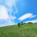 (주)더메이트 이미지