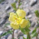 더마음모리 이미지