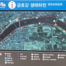 영천강변체육공원주차장 이미지