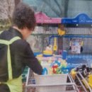 행복노인돌보미 | [현장 취재]부산 북구를 반짝반짝 빛내는 168개의 정성: 어린이 돌보미