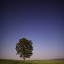 보리목장 이미지