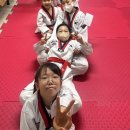 경희대 이룸 태권도 이미지