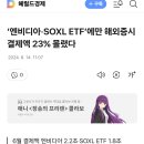 '엔비디아,SOXL ETF에만 해외증시 결제액 23%몰렸다 이미지