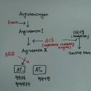 혈압약 4- 안지오텐신 수용체 길항제 이미지