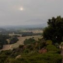 MED AUTO SERVICE 이미지